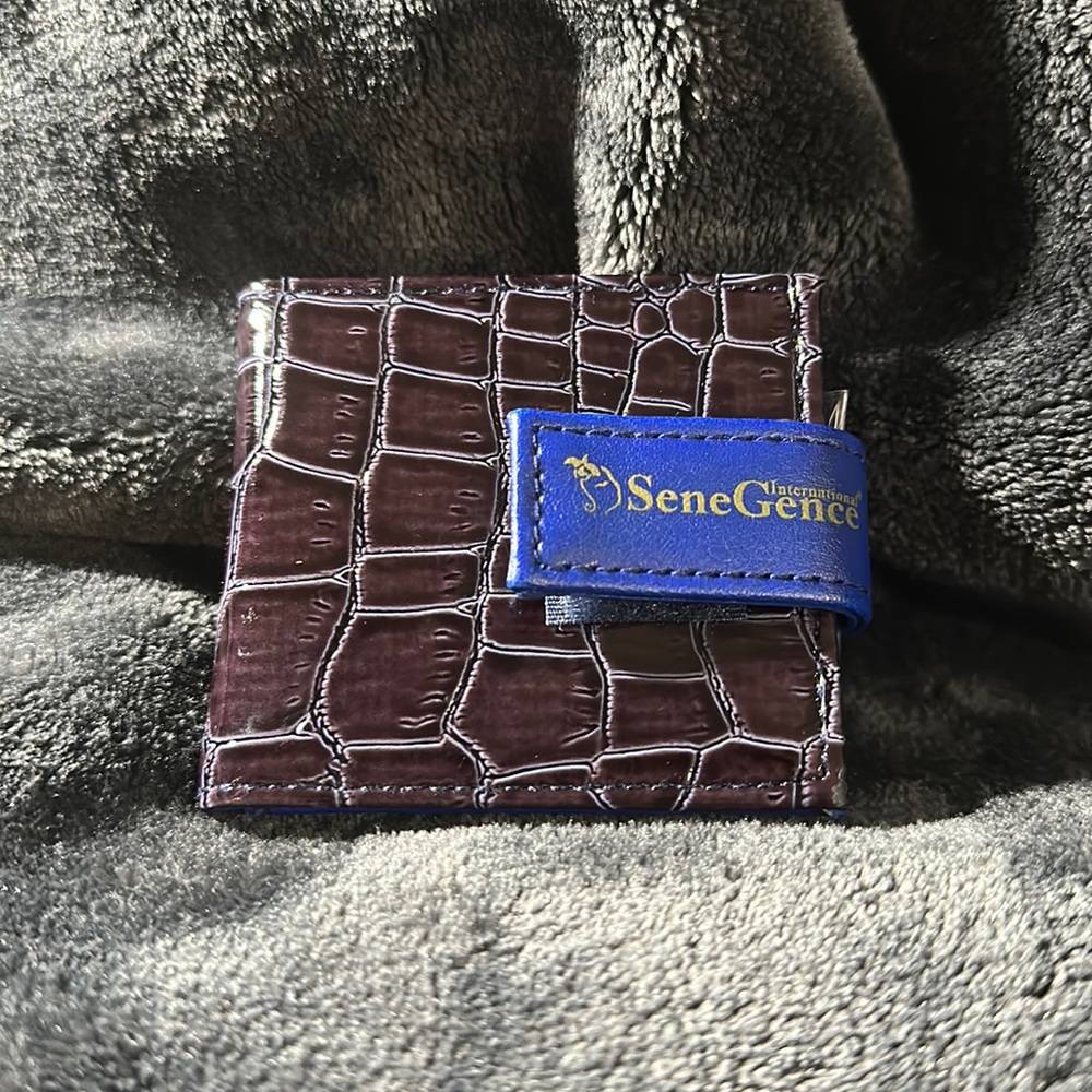 SeneGence purse size makeup brushes